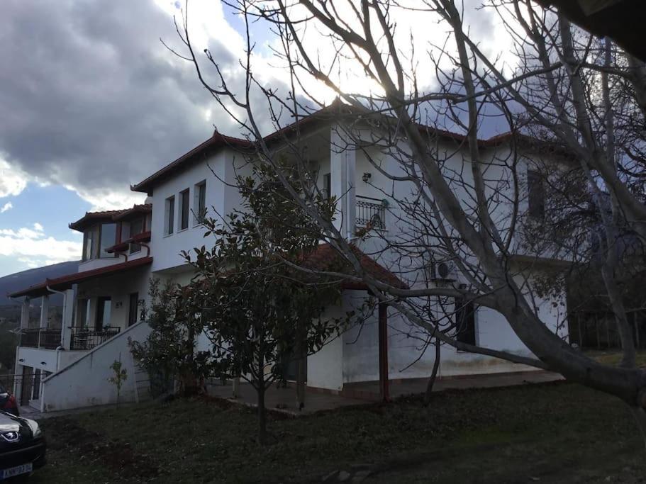 Villa_Kleio Litókhoron Eksteriør bilde